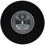 Damu The Fudgemunk : Walk In The Park (Remix) (7")
