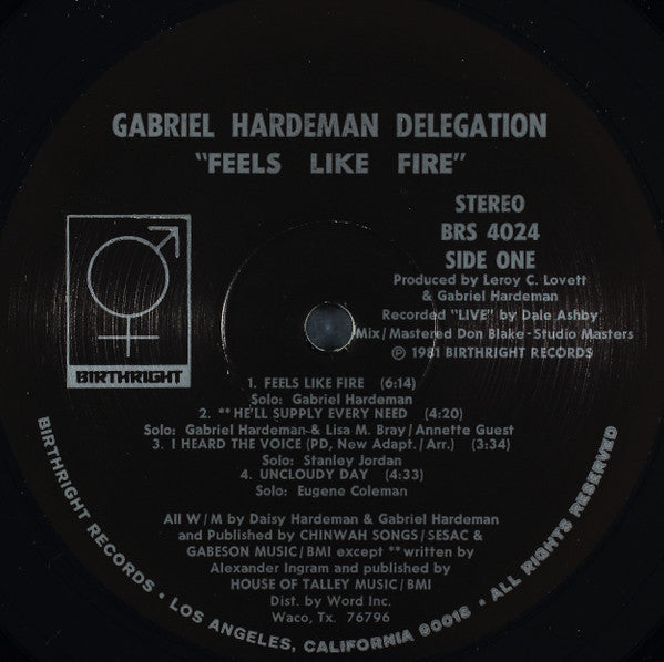 The Gabriel Hardeman Delegation* : Feels Like Fire (LP)