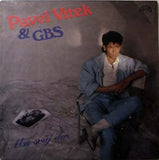Pavel Vítek & GBS (2) : Má Svůj Den (LP, Album)