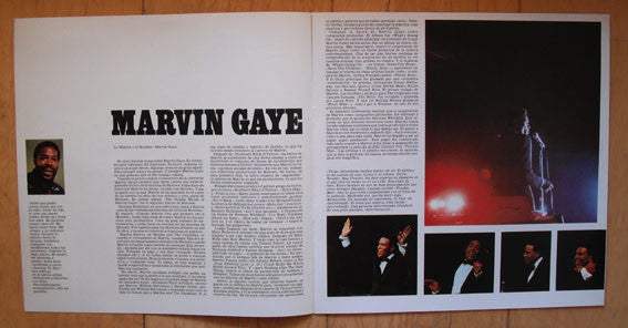 Marvin Gaye : Anthology (3xLP, Comp)