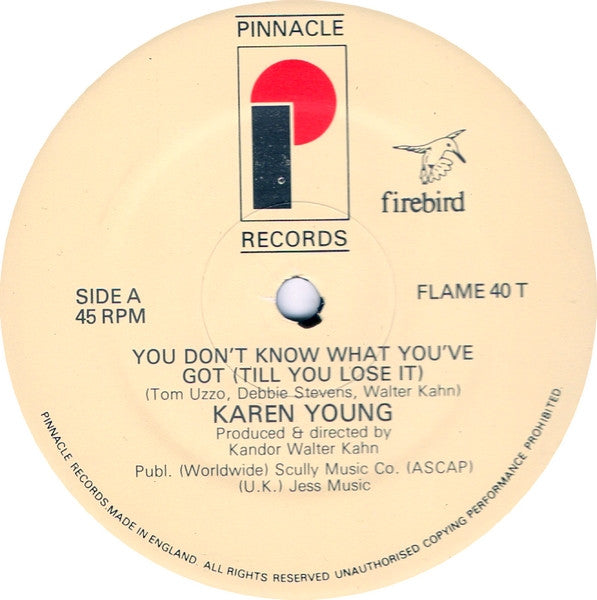 Karen Young : You Don't Know What You've Got... Till You Lose It ! (12")
