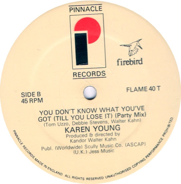 Karen Young : You Don't Know What You've Got... Till You Lose It ! (12")