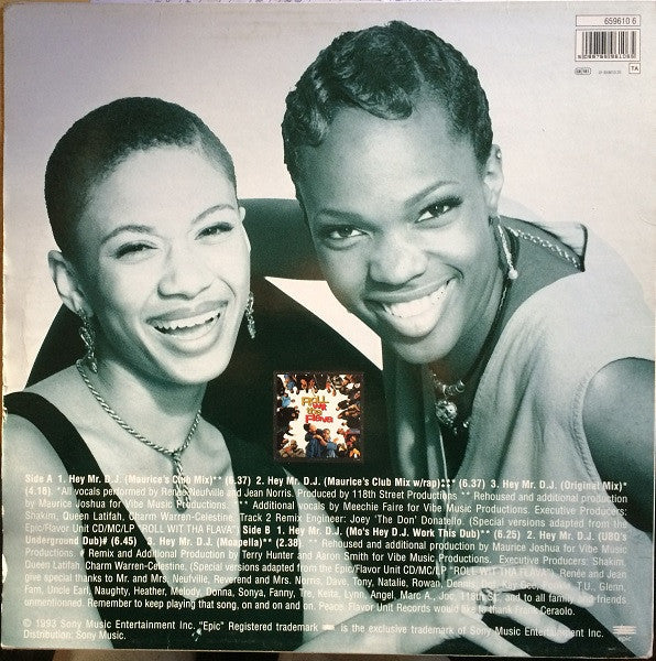 Zhané : Hey Mr. D.J. (12")