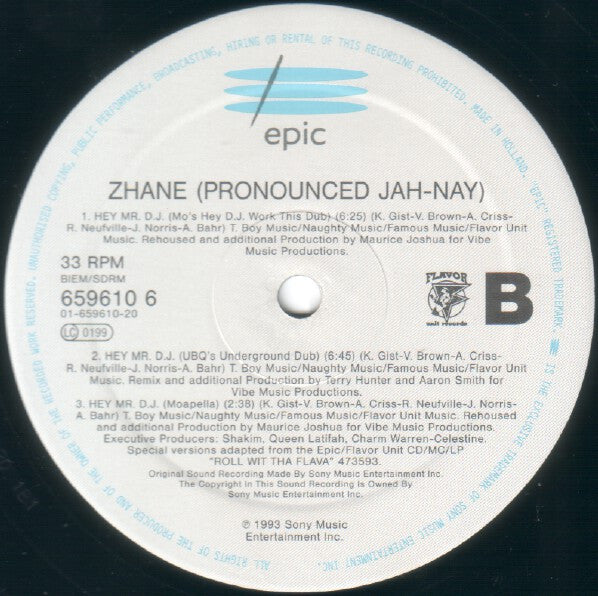 Zhané : Hey Mr. D.J. (12")