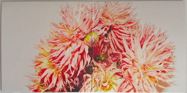 Emile Haynie : We Fall (LP, Album)