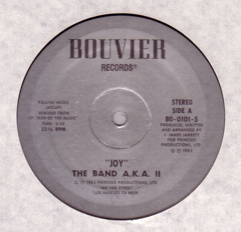Band AKA : Joy (12")