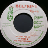 U Brown, Trinity (4) : Nice Up The Yard (7")