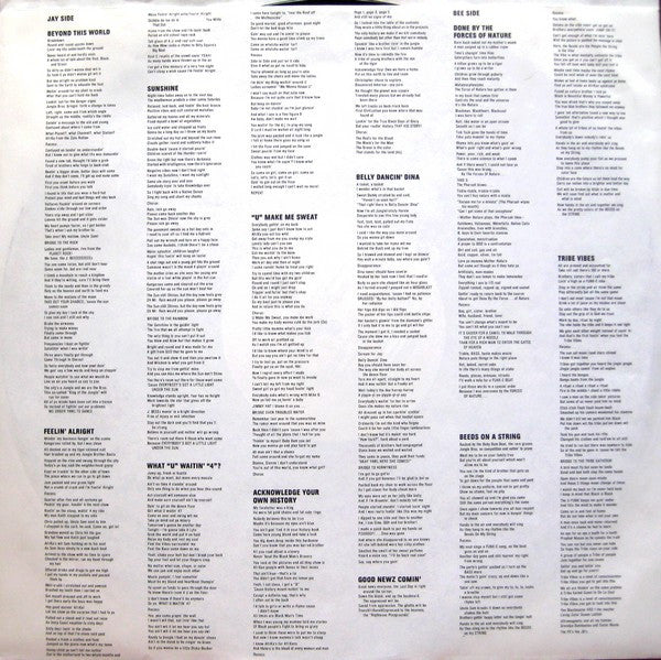 Jungle Brothers : Done By The Forces Of Nature (LP, Album)