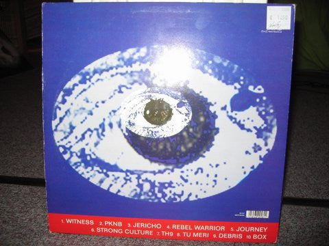 Asian Dub Foundation : Facts And Fictions (2xLP, Album)