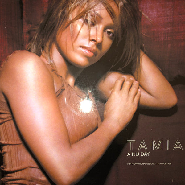 Tamia : A Nu Day (12", Promo, Smplr)