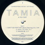 Tamia : A Nu Day (12", Promo, Smplr)