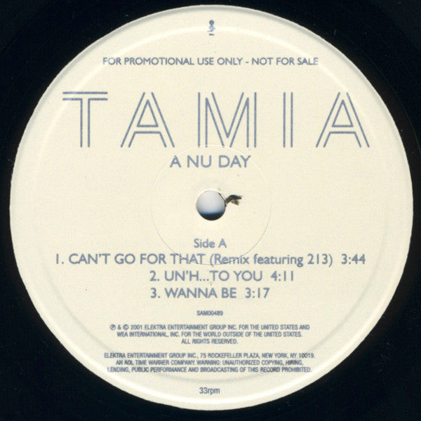 Tamia : A Nu Day (12", Promo, Smplr)