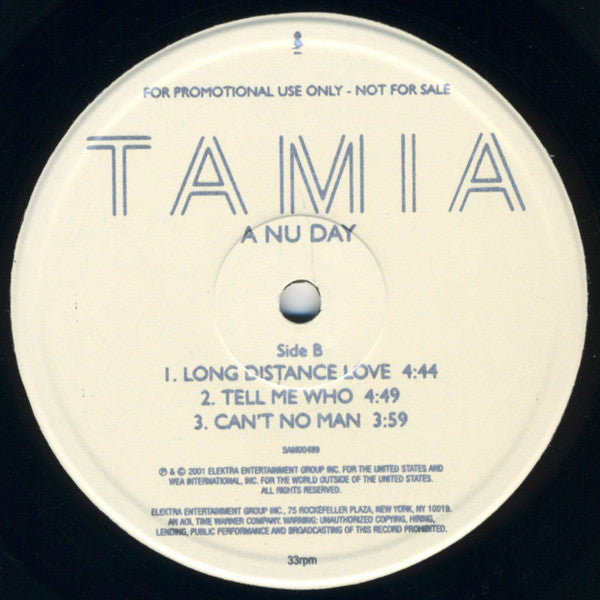 Tamia : A Nu Day (12", Promo, Smplr)