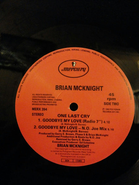 Brian McKnight : One Last Cry (12", Single)