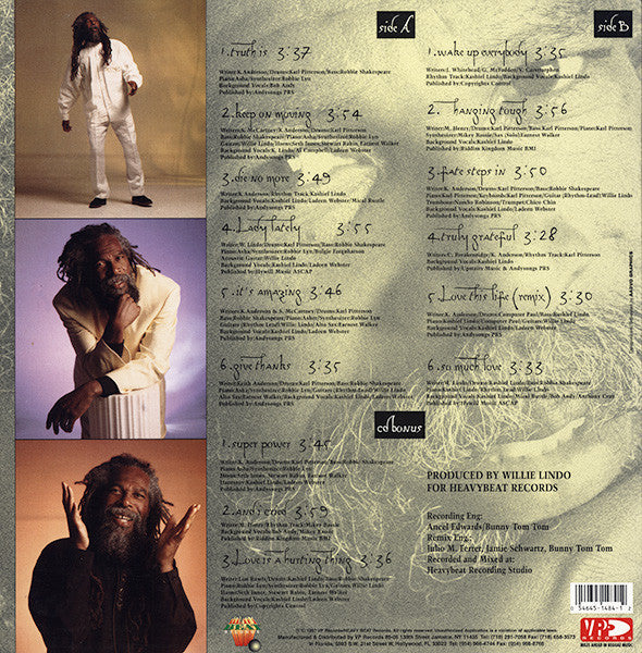 Bob Andy : Hanging Tough (LP)