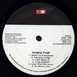 Bob Andy : Hanging Tough (LP)
