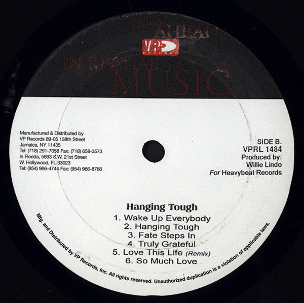 Bob Andy : Hanging Tough (LP)