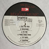 Turbulence (4) : Notorious (The Album) (LP, Album)