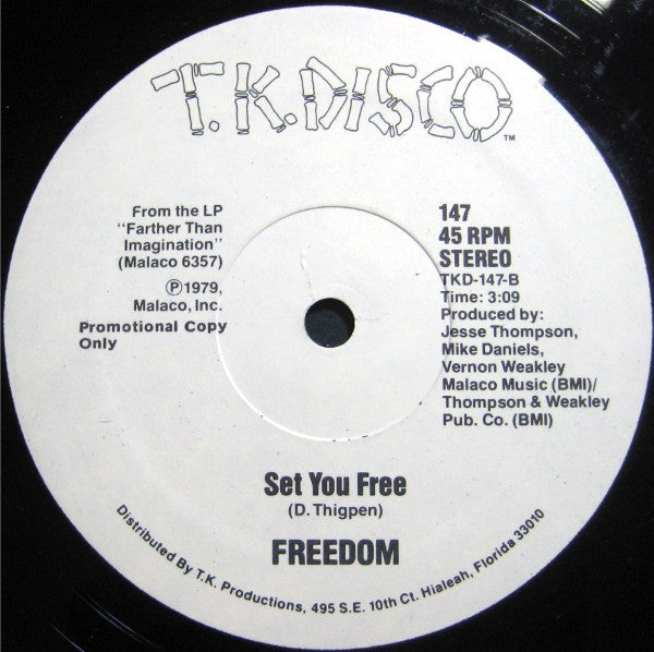 Freedom (2) : Dance Sing Along (12", Promo)