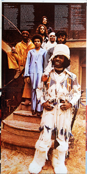 Sly & The Family Stone : Greatest Hits (LP, Comp, Pit)