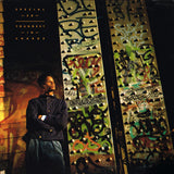 Special Ed : Youngest In Charge (LP, Album)