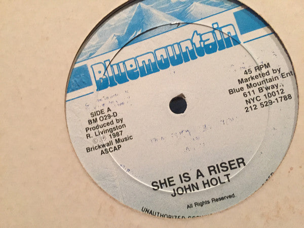 John Holt : She Is A Riser (12", Single)