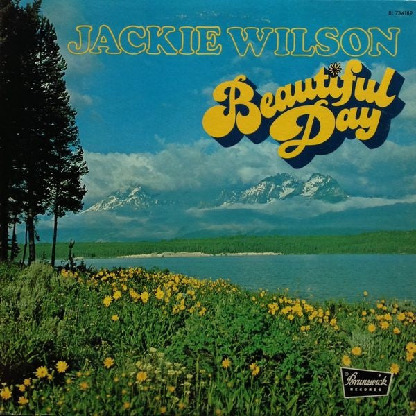 Jackie Wilson : Beautiful Day (LP, Album)