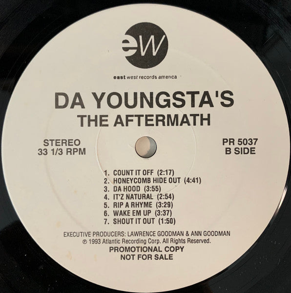 Da Youngsta's : The Aftermath (The Album) (LP, Album, Promo)