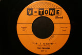 The Cruisers (2) : If I Knew / Miss Fine (7", RP)