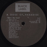 A Dose Of Paradise : Door 2 My House (12")
