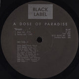 A Dose Of Paradise : Door 2 My House (12")