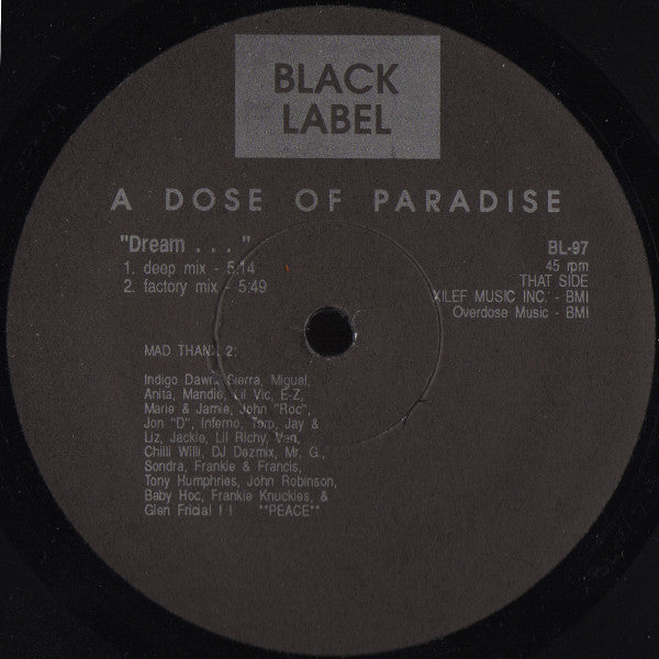 A Dose Of Paradise : Door 2 My House (12")