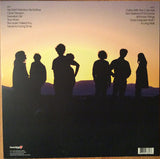 Eleanor Friedberger : New View (LP, Album)