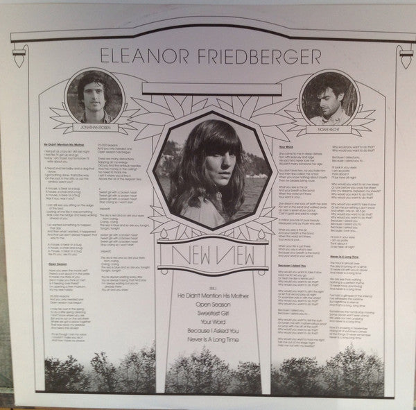 Eleanor Friedberger : New View (LP, Album)