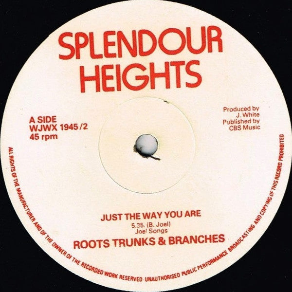 W.J.W. And Roots Trunks & Branches : Just The Way You Are (12")
