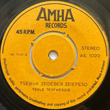 Tekle Tesfazghi : Seram Temaguati / Tsebuk Zegeber Zeiefeso (7")