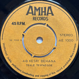 Tekle Tesfazghi : Abadit / Ab Kesri Behana (7")