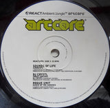 Various : Artcore - Ambient / Jungle (2xLP, Comp)