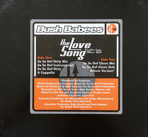Da Bush Babees : The Love Song (So So Def Mix) (12", Promo)
