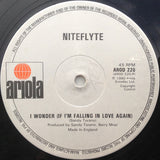 Niteflyte : If You Want It (12")