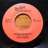 The Cliques : The Girl In My Dreams / I Wanna Know Why (7", Single)