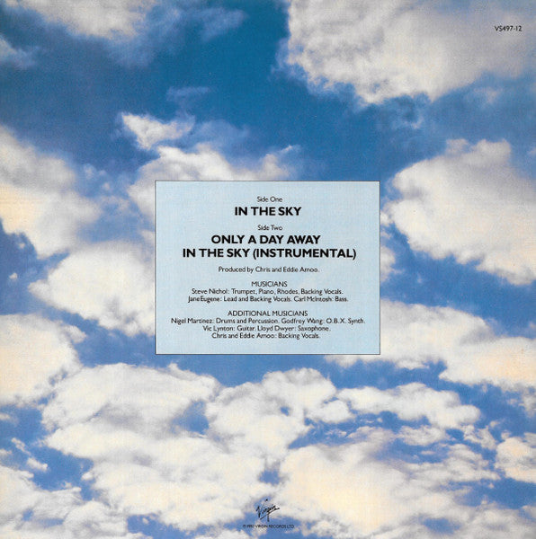 Loose Ends : In The Sky (12", Single)
