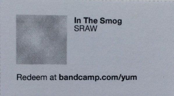 Sun Raw : In The Smog (7", Tra)
