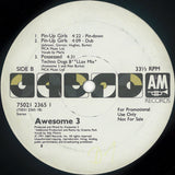 Awesome 3 : Possessed / Pin-Up Girls (12")