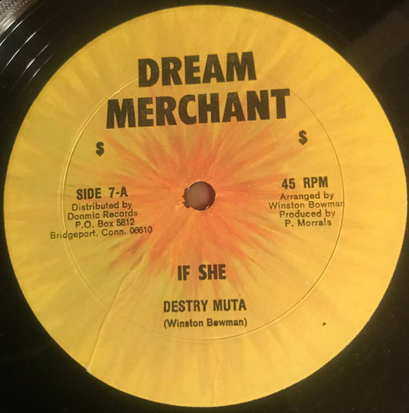 Destry Muta : If She / If She Dub (12", Single)