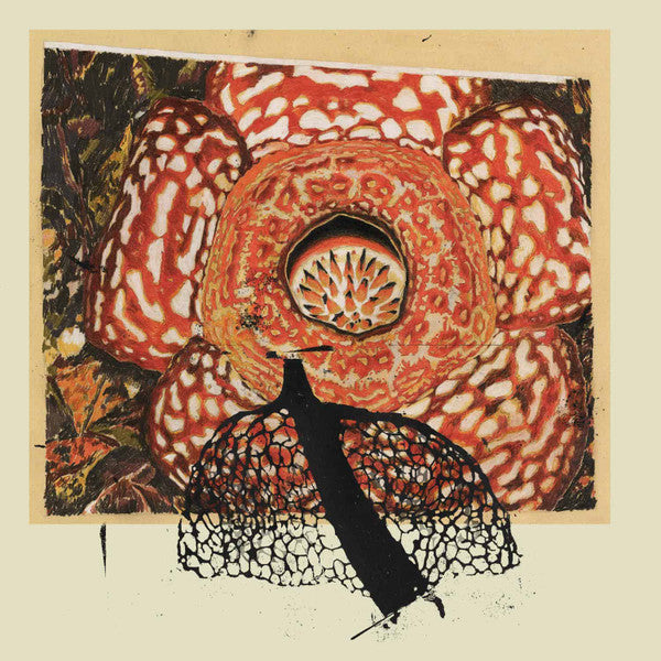 David Fenech & Klimperei : Rainbow De Nuit (LP, 180)
