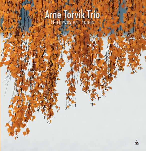 Arne Torvik Trio : Northwestern Songs  (LP, Album)