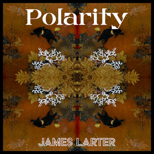James Larter : Polarity (LP)