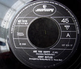 Jerry Butler : Are You Happy (7")
