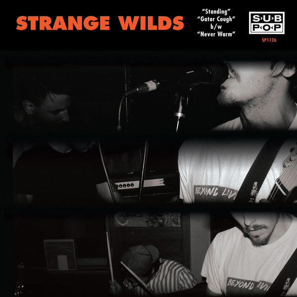 Strange Wilds : Standing (7")